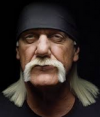 hulk hogan